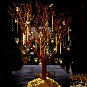 El árbol de los deseos